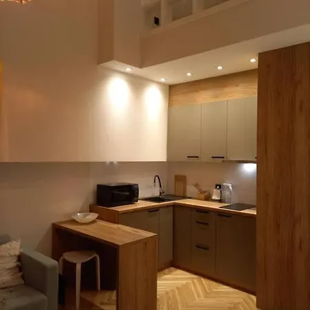 Appartement Studio Delux Cracovie
